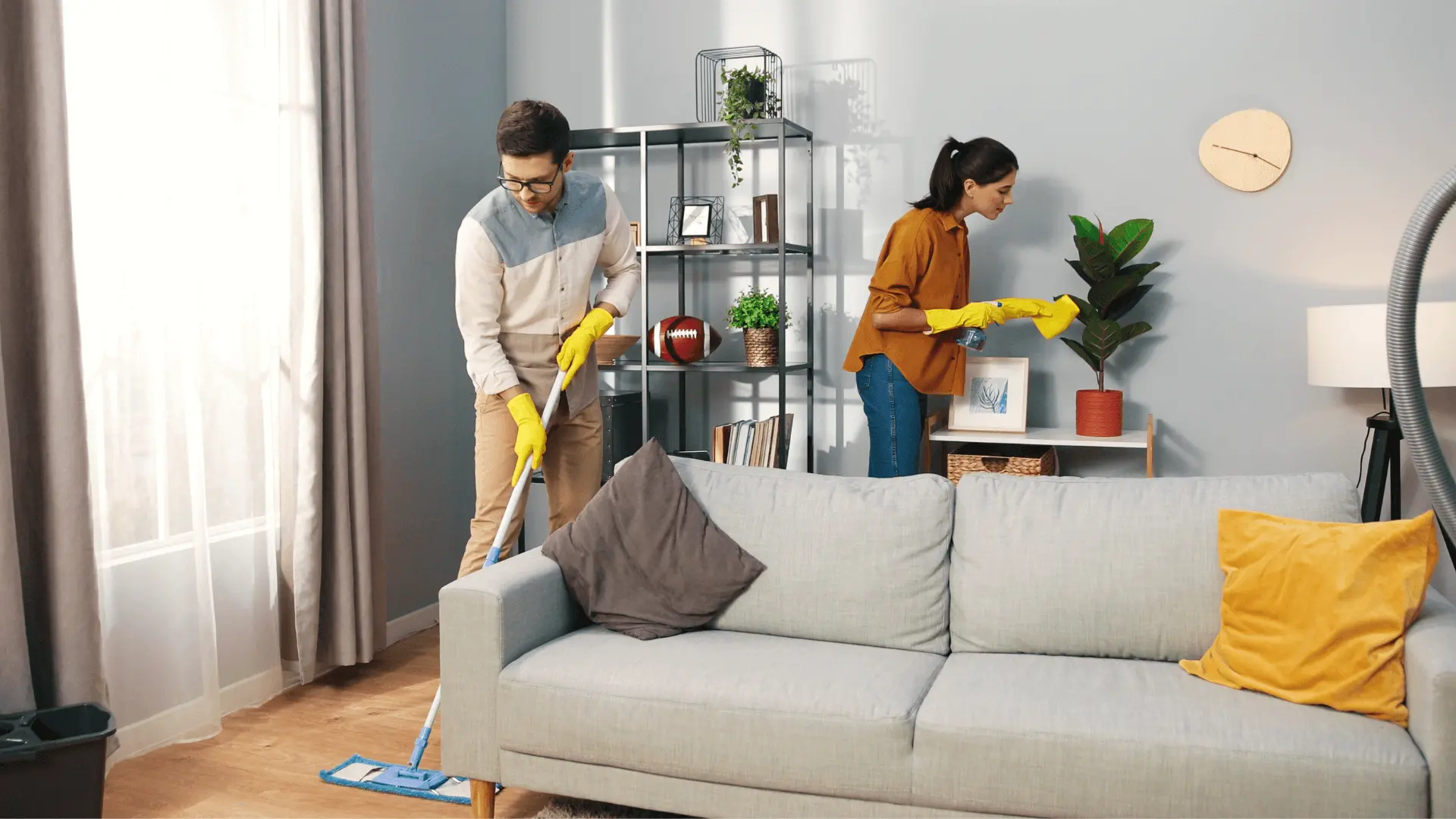 Regular Cleaning