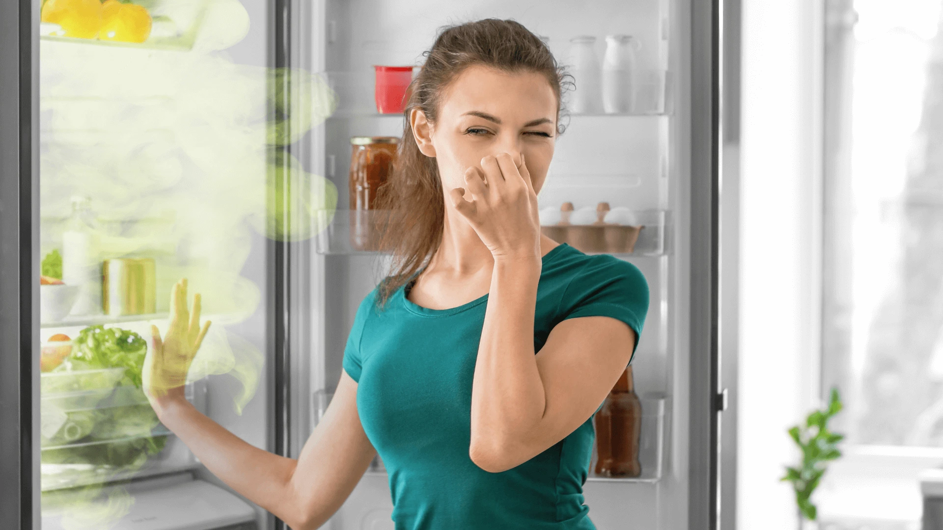 Fridge & Freezer Deep Clean