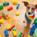 House Cleaning Prices