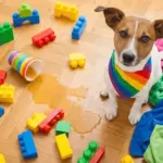 House Cleaning Prices