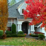 Damp and Mould Prevention