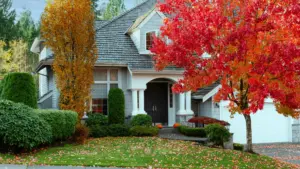 Damp and Mould Prevention